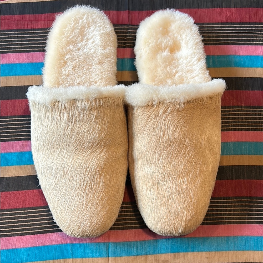 Freda Salvador slipper
